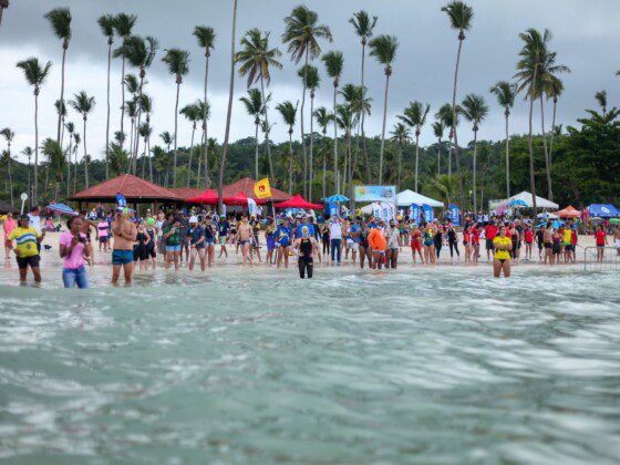 campeonato baiano de natação